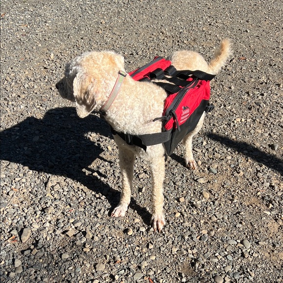 Dog Backpack - Picture 14 of 16